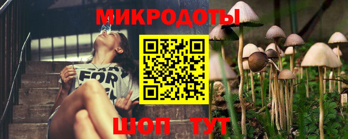 Псилоцибиновые грибы GOLDEN TEACHER Чусовой